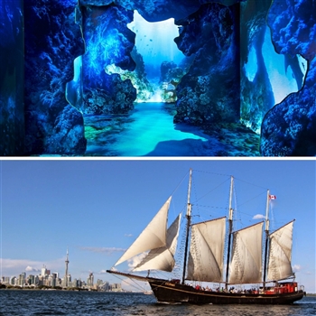 Arcadia Earth & Tall Ships