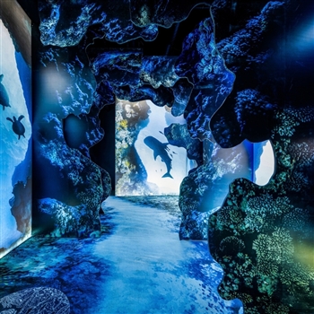 Arcadia Earth + The Bata Shoe Museum