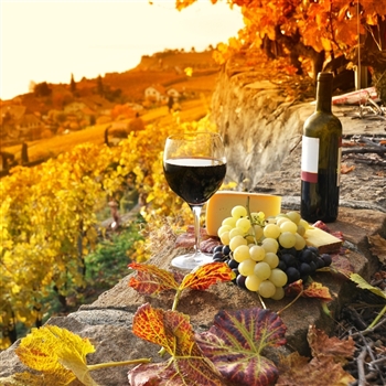 Autumn Wine Tour