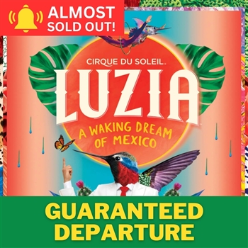 Cirque du Soleil: LUZIA