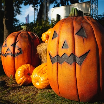 Halloween Haunt