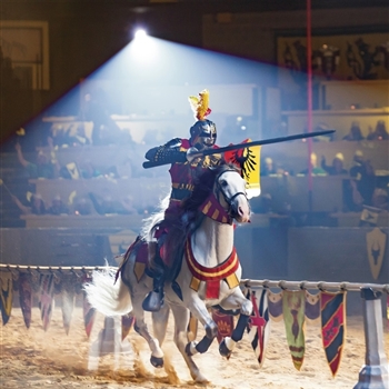 Little Canada & Medieval Times