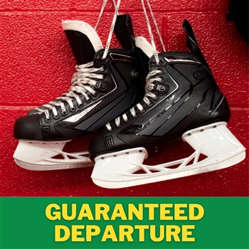 Ottawa Senators vs Toronto Maple Leafs