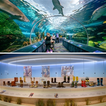 Ripley's Aquarium + Bata Shoe Museum