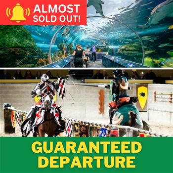 Ripley's Aquarium + Medieval Times