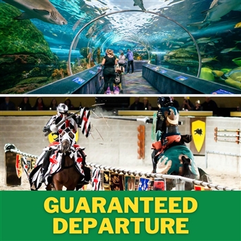 Ripley's Aquarium + Medieval Times