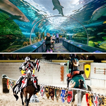 Ripley's Aquarium + Medieval Times