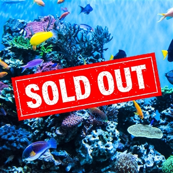 Little Canada + Toronto Eaton Centre - Family Day