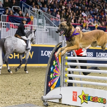 Royal Winter Fair + K9-Equine Challenge
