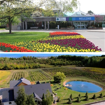 Summer Gardens & Wine Tour