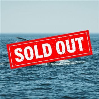 Tadoussac Whale Watching