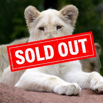 Toronto Zoo